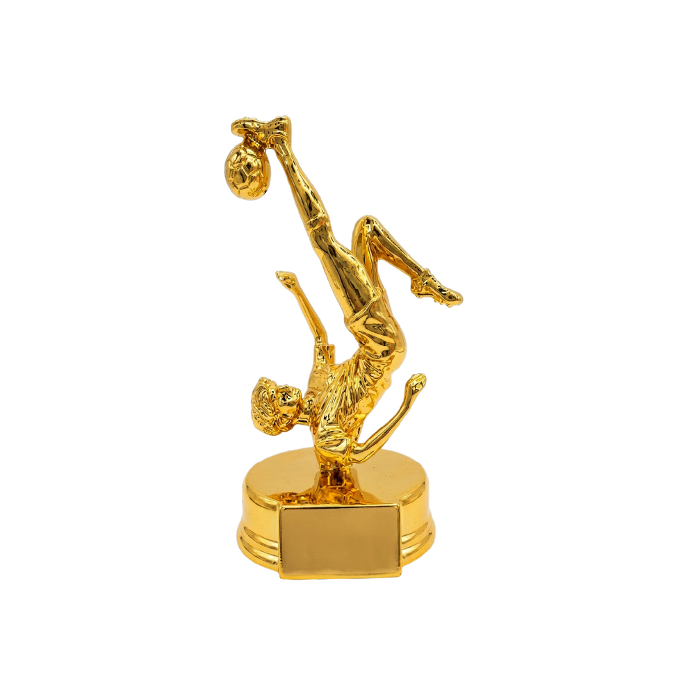 Trofeo resina 17 cm