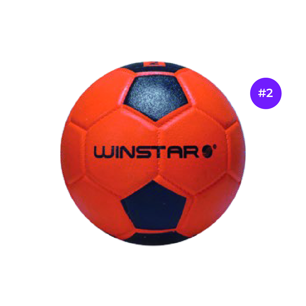 Pelota de hand ball