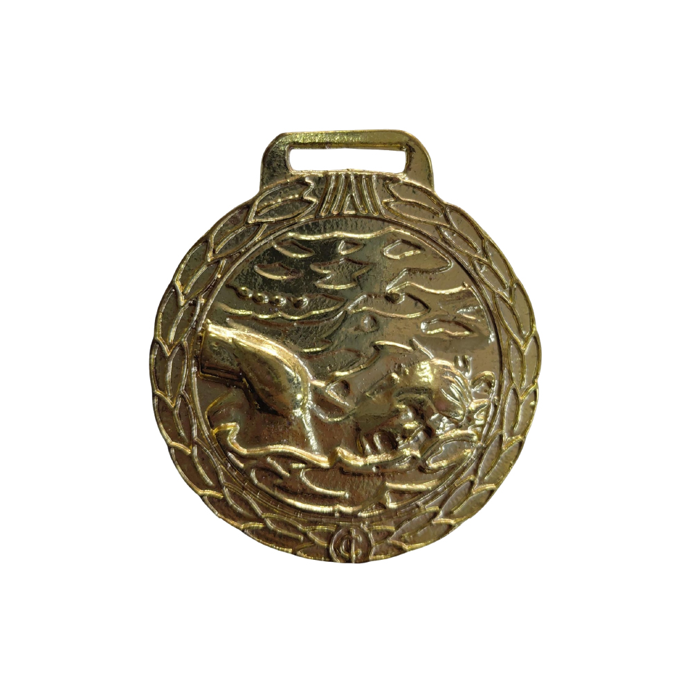Medalla natación oro  a/relieve circular
