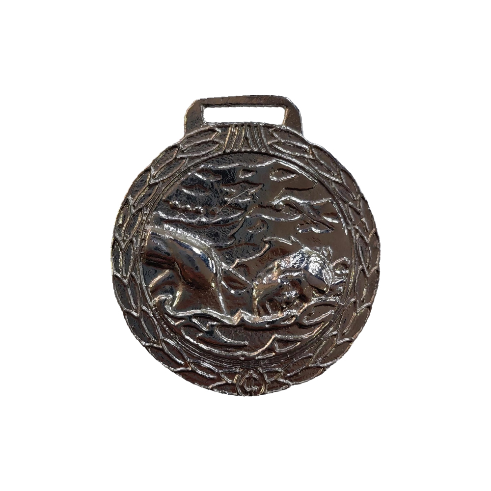 Medalla plata natación a/relieve circular